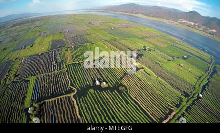 Aerial photo of floating gardens on Inle Lake Stock Photo