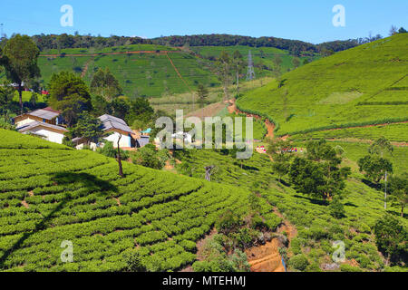 mountain landscape in Sri Lanka Stock Photo