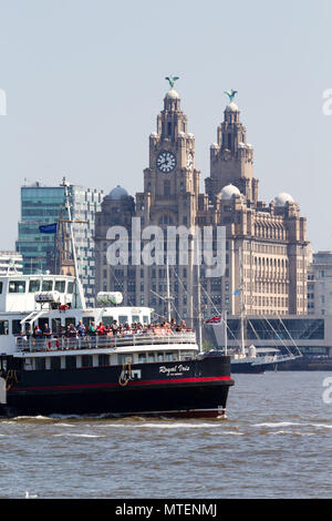 The Mersey Ferry Royal Iris sailing past the Liver Buildings on the River Mersey in Liverpool UK. Stock Photo