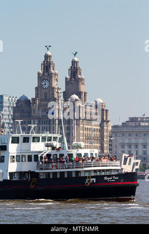 The Mersey Ferry Royal Iris sailing past the Liver Buildings on the River Mersey in Liverpool UK. Stock Photo
