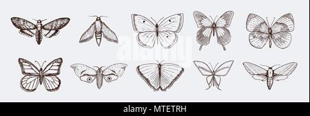 Collection of butterfly or wild moths insects. Mystical symbol or entomological of freedom. Engraved hand drawn vintage sketch for wedding card or logo. Vector illustration. Arthropod animals. Stock Vector