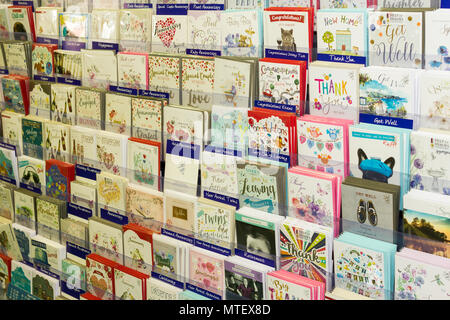 A variety of greeting cards for sale in a shop, England, United Kingdom Stock Photo