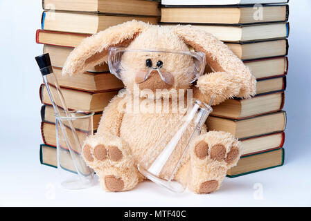 A toy rabbit in protective glasses with beakers and flasks sits near a pile of books. Stock Photo