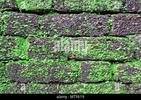 Background of laterite stone wall with grass and moss growth forming beautiful patterns on the face Stock Photo