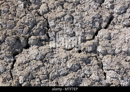 background, texture - lifeless cracked dry saline desert soil Stock Photo