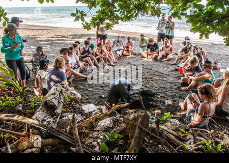 Lecture on the Beach. Biosphere citizen science project for sea turtles protection in Costa Rica Stock Photo