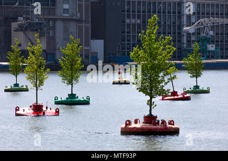 Art action Dobberend Bos, by artists from Rotterdam, a forest of floating elms trees, in disused North Sea buoys, in a harbor basin, Rotterdam, Nether Stock Photo