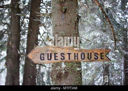 Wooden arrow sign on a tree in a forest Stock Photo