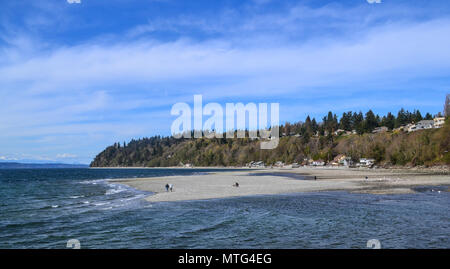 Saltwater State Park in Des Moines Washington near Seattle, WA, USA Stock Photo