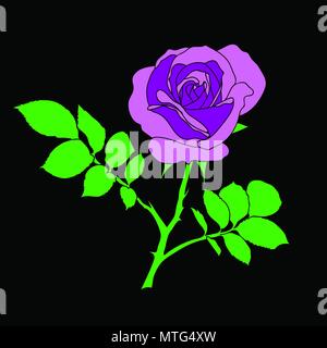Sample of seamless violet rose background - pattern for continuous replicate on black background. Can be used for fabric, wallpaper, printing works or Stock Photo