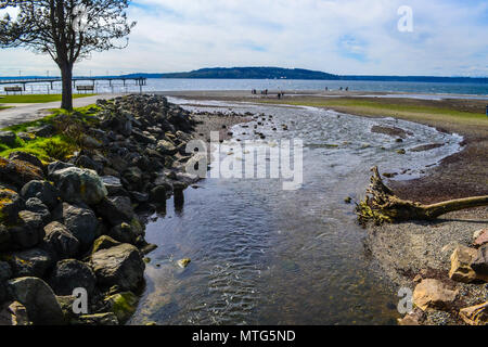 Saltwater State Park in Des Moines Washington near Seattle, WA, USA Stock Photo