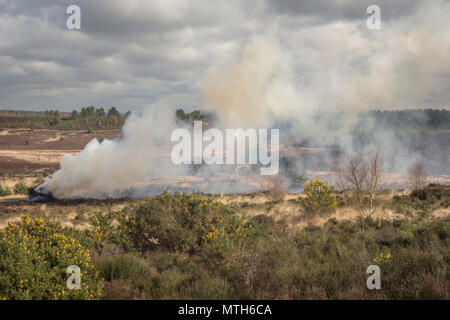 Scrub burning on Hankley Common in Surrey Stock Photo