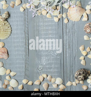 blue wooden background with beautiful seashells .copy space for text Stock Photo