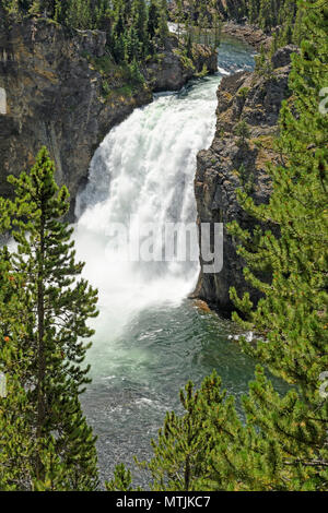 Dramatic, Upper Yellowstone Falls in Yellowstone Canyon of Yellowstone National Park in Wyoming Stock Photo