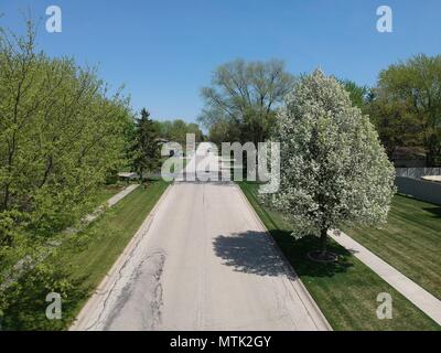 Aerial view of a suburban, tree lined street on a summer day void of people with a majestic blue sky and no clouds Stock Photo