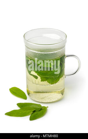 Glass of fresh healthy sage tea decorated with leaves isolated on white background Stock Photo