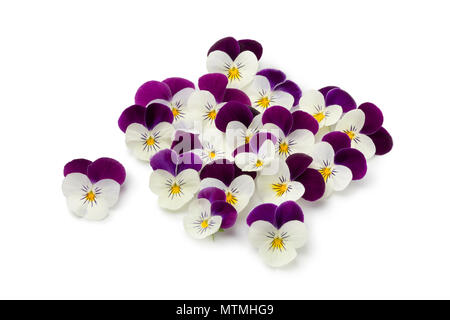 Fresh picked viola flowers isolated on white background Stock Photo