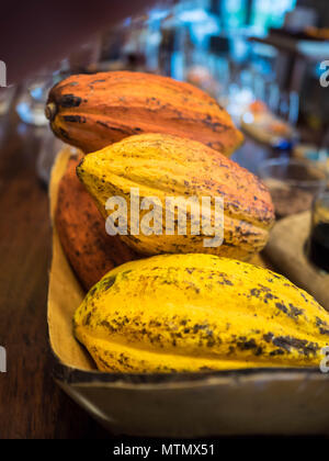 Harvested yellow and orange cocoa pods in the bar at Four Seasons on Peninsula Papagayo in the Guanacaste region of Costa Rica Stock Photo