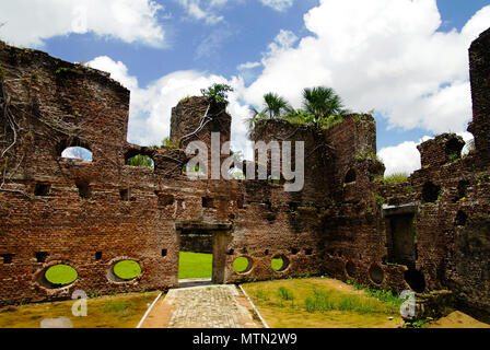 Ruins of Zeeland fort on the island in Essequibo delta in Guyana Stock ...