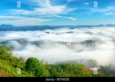 Landscape morning fog covered the valley like clouds floating in wonderful idyllic highlands of Dalat, Vietnam Stock Photo