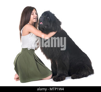 newfoundland dog and woman in front of white background Stock Photo