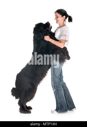 newfoundland dog and woman in front of white background Stock Photo