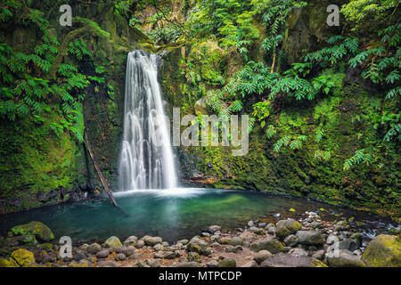 Salto do Prego waterfall lost in the rainforest, Sao Miguel Island, Azores, Portugal