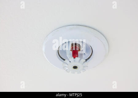 Fire sprinkler mounted under a white ceiling. Stock Photo