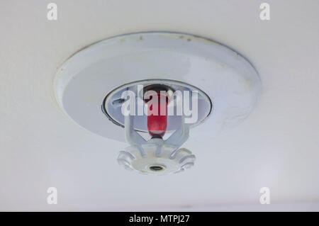 Fire sprinkler mounted under a white ceiling. Stock Photo
