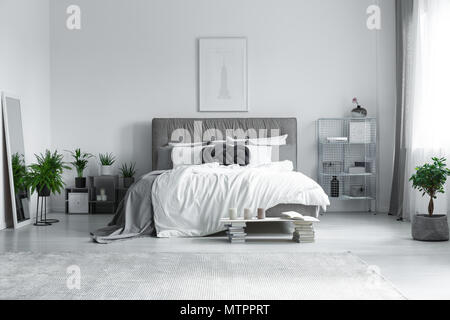 Big grey carpet on the floor in modern bright bedroom Stock Photo