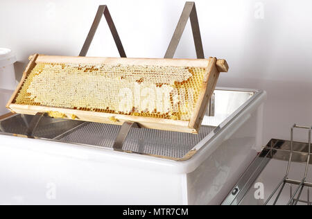 Honeycomb at plastic uncapping tub on white Stock Photo