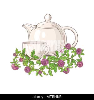 clover tea in teapot illustration on white background Stock Vector