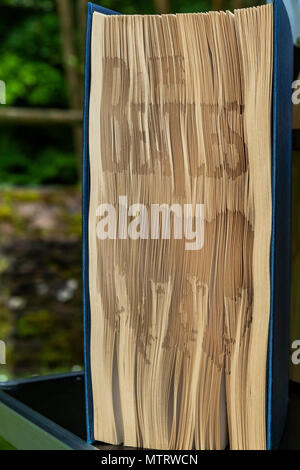 Book carving display. Fire and Wood at Dean Heritage Centre Stock Photo