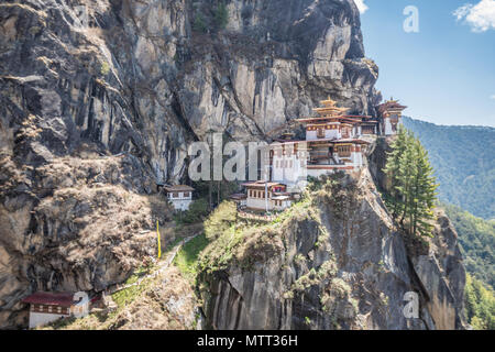 The Tigers nest in Mandalay Stock Photo