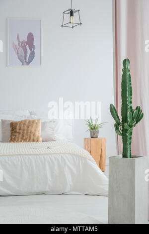 Cactus in grey pot next to king-size bed with brown pillow in bright bedroom with poster and lamp Stock Photo