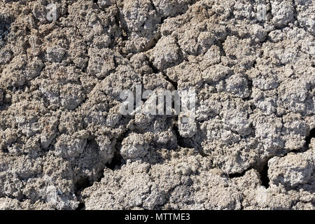 background, texture - lifeless cracked dry saline desert soil Stock Photo