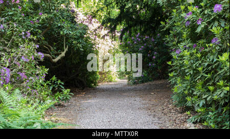 Weston-under-Lizard, England, 29th, May, 2018.  Weston Park Stately House. The Enchanted Garden at Weston Park Stock Photo