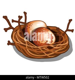 Woven straw nest with twigs isolated on white background. Eggs of wild birds. Vector cartoon close-up illustration. Stock Vector