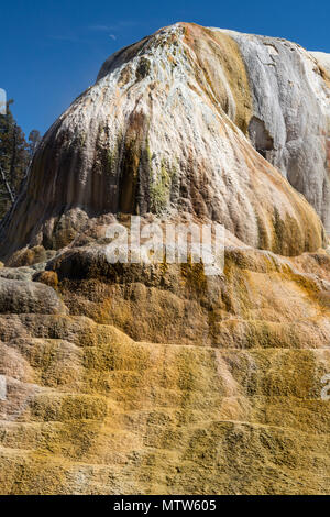 Orange Mound Spring at Mammoth Hot Springs in Yellowstone National Park Stock Photo