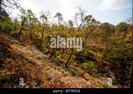 Valley where Jim Corbett shot the Chowgarh maneating tigress, Kala Agar, Uttarakhand, India Stock Photo