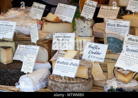 Speciality and Artisan cheese stall at a food festival. Oxfordshire, England Stock Photo