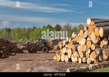 Baraga, Michigan - The Besse Forest Products log yard in Michigan's upper peninsula. Stock Photo