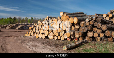 Baraga, Michigan - The Besse Forest Products log yard in Michigan's upper peninsula. Stock Photo