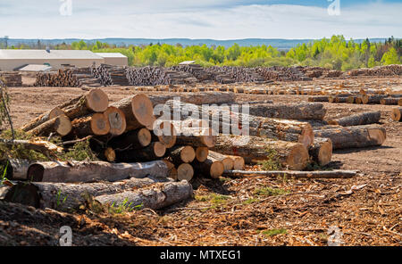 Baraga, Michigan - The Besse Forest Products log yard in Michigan's upper peninsula. Stock Photo