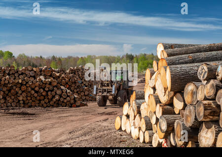 Baraga, Michigan - The Besse Forest Products log yard in Michigan's upper peninsula. Stock Photo