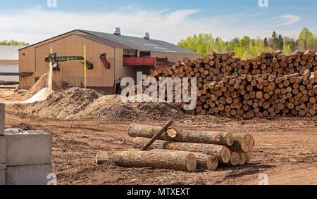 Baraga, Michigan - The Besse Forest Products log yard in Michigan's upper peninsula. Stock Photo