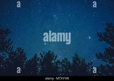 Blue dark night sky with many stars above field of trees. Stock Photo