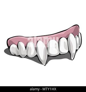 Vampire teeth on white background. Vector illustration. Stock Vector