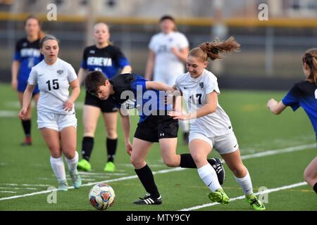 Players battling for possession for the ball along a sideline. USA. Stock Photo