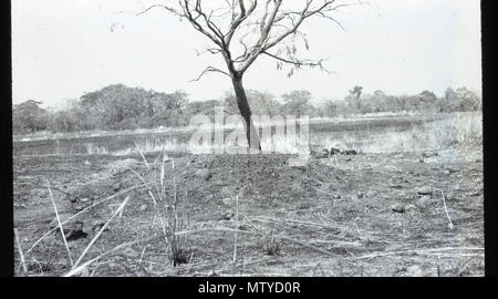 MISCELLANEOUS PHOTOS - An empty field Stock Photo